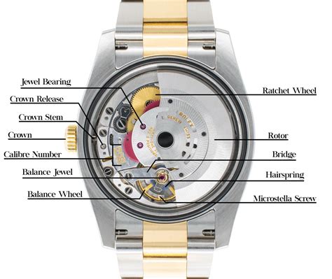 rolex materials|parts of a rolex.